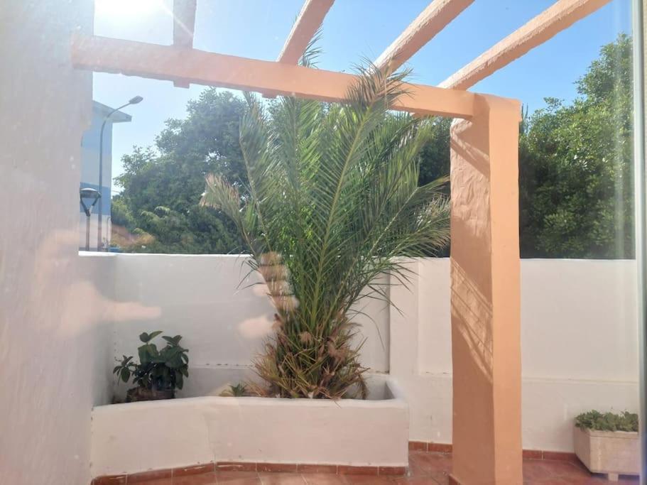 Апартаменты Piscina, Wifi, Patio Con Vistas Тарифа Экстерьер фото